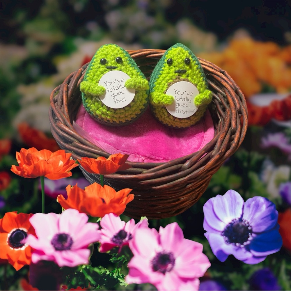 Emotional Support Crochet Avocados “You’ve Totally Got This” Set